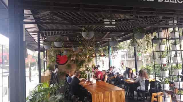 Biophilic dining area in Casa Anzures for casual networking and small-group collaboration.
