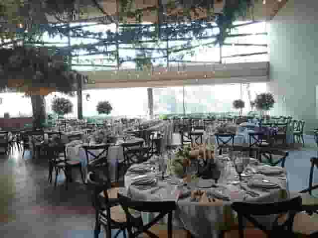 Bodas