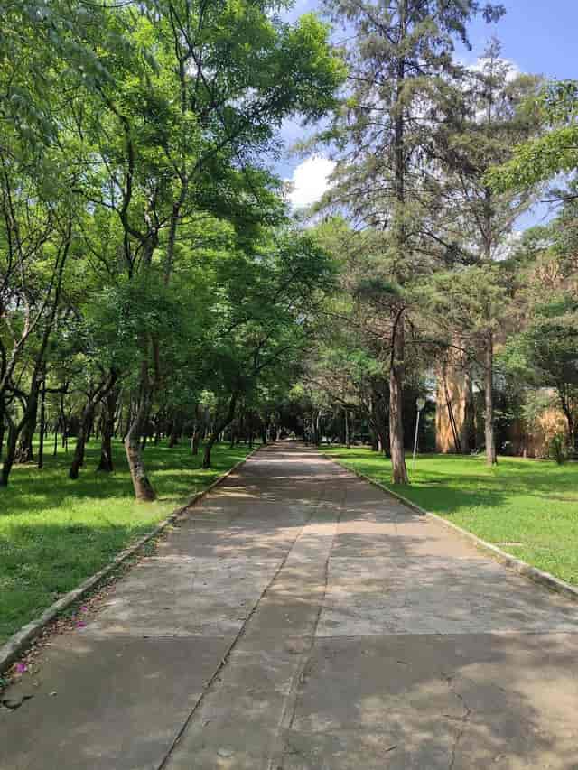 Outdoor breakout space at Espacio CDMX, ideal for team building and wellness event venues.