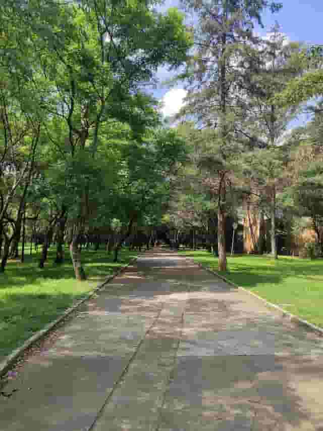 Talleres y Conferencias