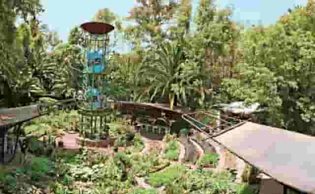 Orchard