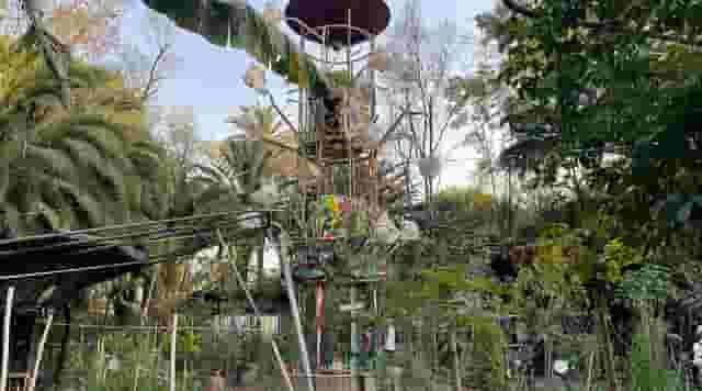 Orchard