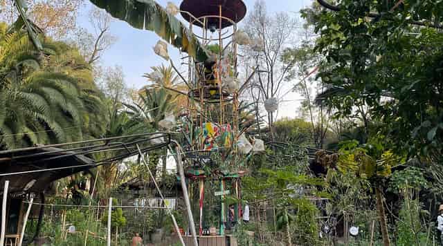 Orchard