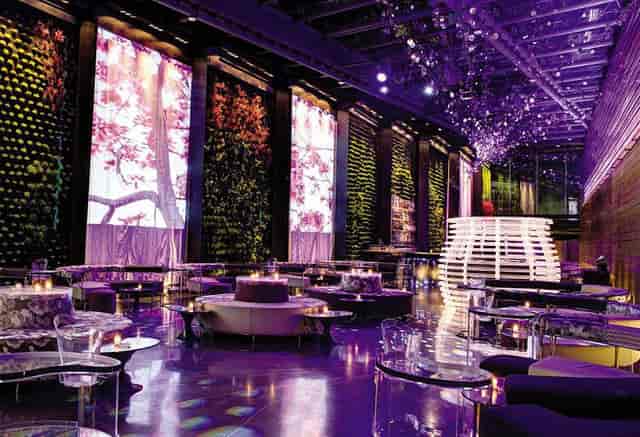 Lounge-style event space at Camino Real Polanco with purple lighting for exclusive receptions.