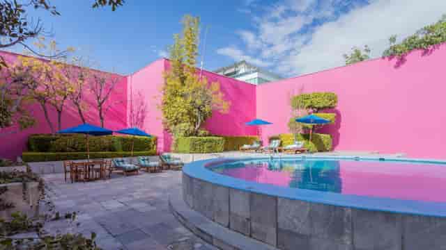 Toy Garden outdoor event space, vibrant aesthetic for social mixers and wellness retreats.
