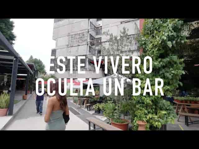 Open-air biophilic bar in Jardín Juárez for networking mixers and event activations.