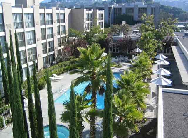 Outdoor pool deck at Four Points San Rafael for corporate mixers and yoga events.