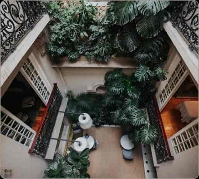 Nima Local House | Boutique Hotel in Mexico City