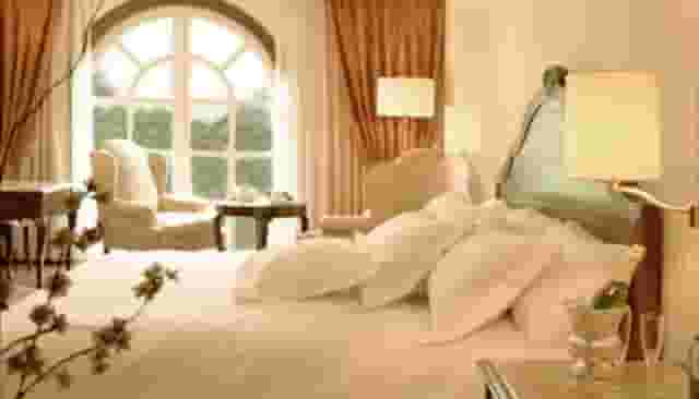 Suite King