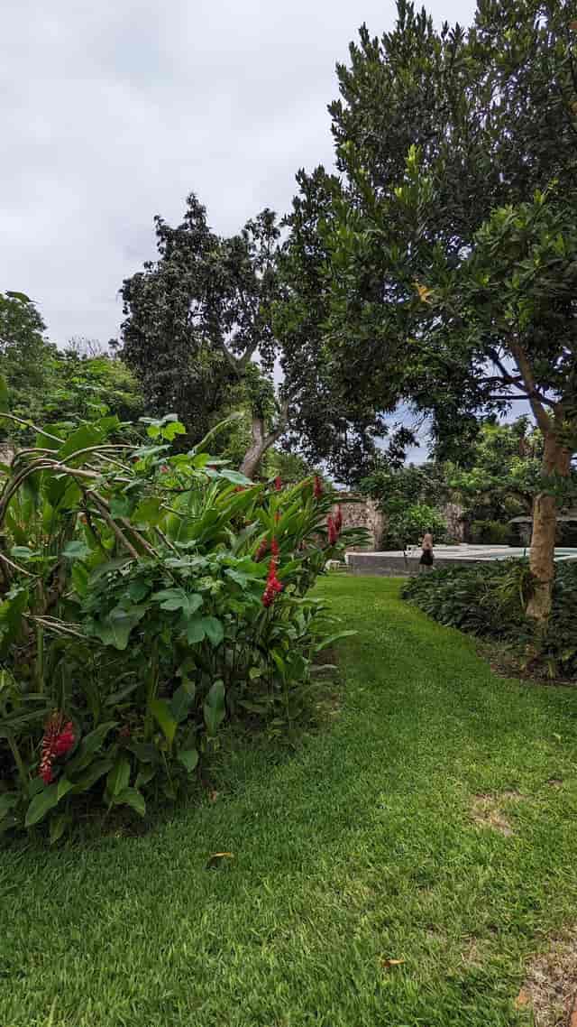 Lush tropical garden event space at Maison Couturier for intimate breakout sessions and receptions.