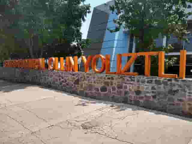 Hermilo Novelo Hall
