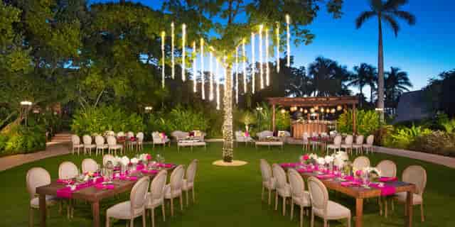 Secret garden gala with icicle tree lighting for upscale private dining and evening reception.