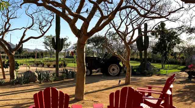 Rustic outdoor bar at El Huerto for team-building events and casual fireside chats.