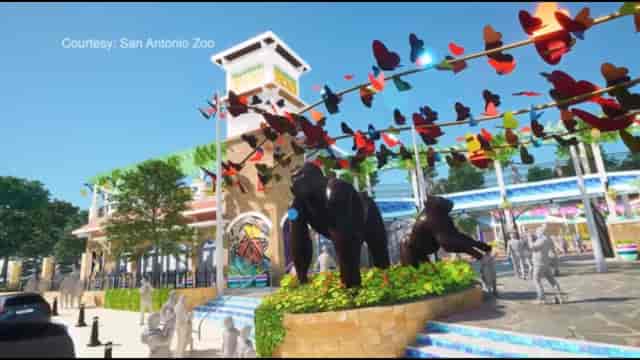$10 million donation to San Antonio Zoo will create largest gorilla habitat  in the country