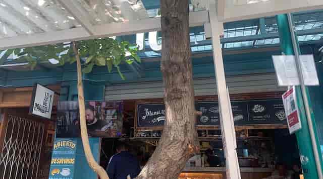 Tree obstruction in Lo de Julio restaurant interior, poor site layout and venue wayfinding.
