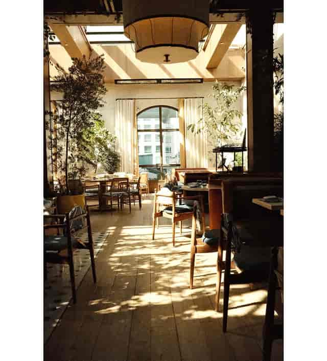 LAVO Mexico City restaurant: bright, airy venue for corporate brunch and networking events.