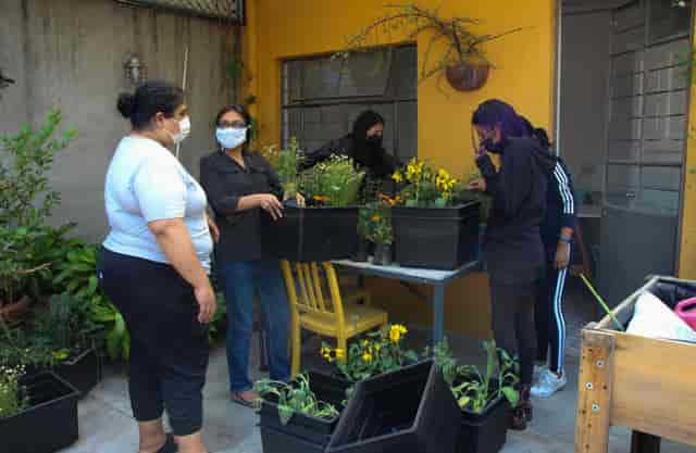Outdoor team-building workshop at Casa Gallina education center for experiential learning.
