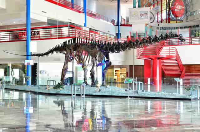 Dinosaur skeleton at Salon Nilo, CINTERMEX; unique event space for themed corporate receptions.