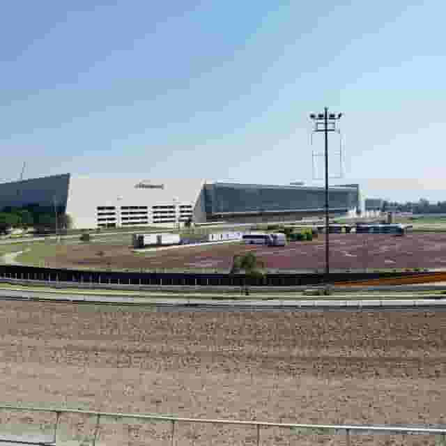 Platea