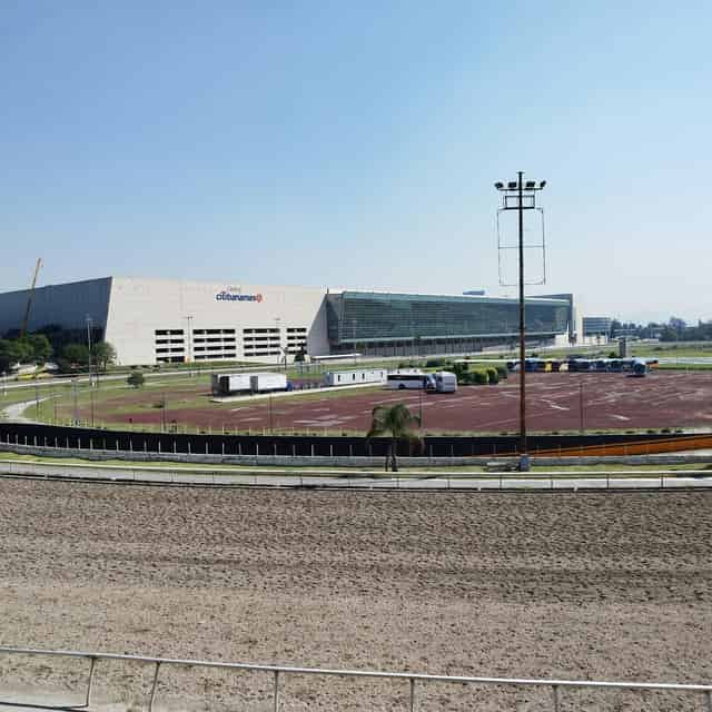 Platea