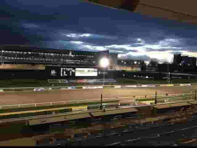 Platea
