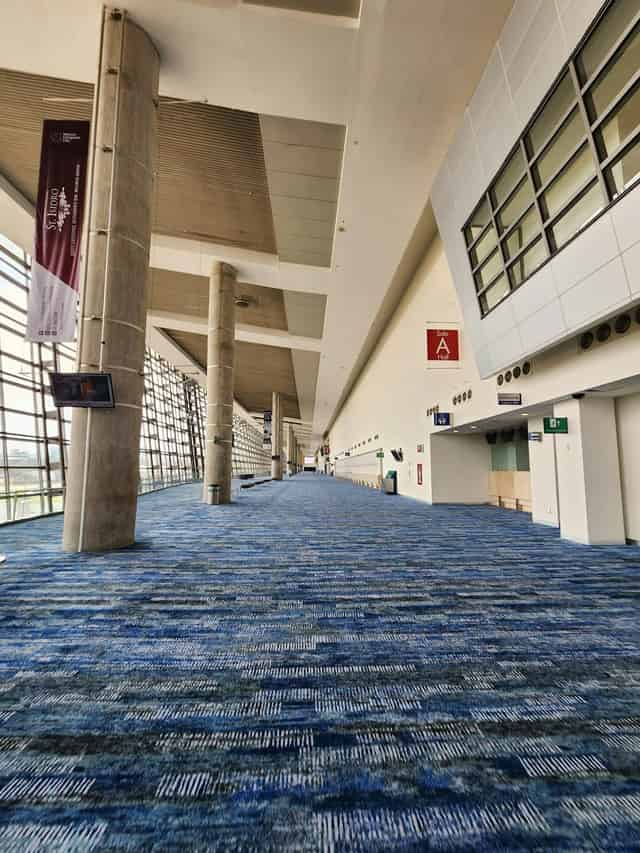 Platea