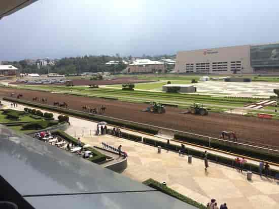 Foto de Hipódromo de las Americas, Ciudad de México: Hipódromo de las  Americas -