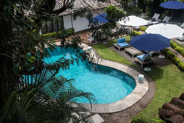 Outdoor garden