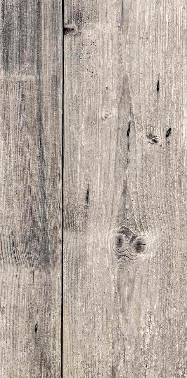 Rustic wood backdrop at Hacienda de San Nicolas for farm-to-table wedding or event venue.
