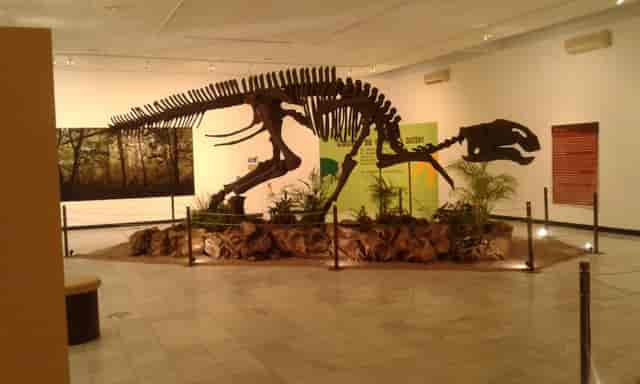 Luis Aveleyra Auditorium at Museo Regional de La Laguna, perfect for museum event space rental.