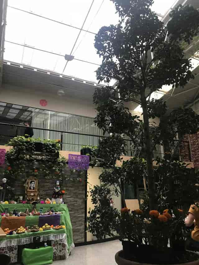 Downtown Treasure Place atrium with industrial greenery for networking events and breakout sessions.