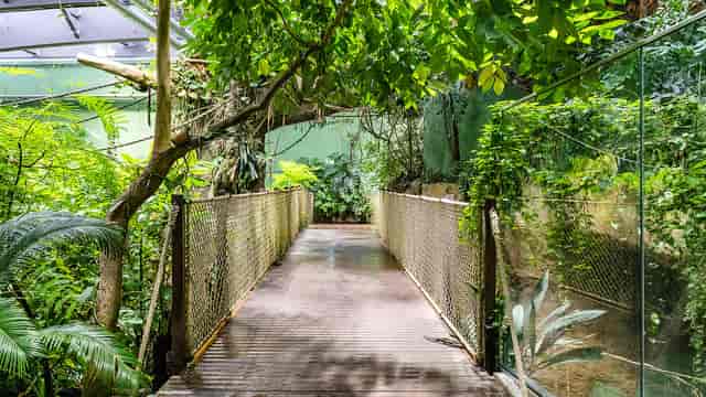 The Garden at Aquatis Hotel: Immersive venue space for experiential events and breakout sessions.
