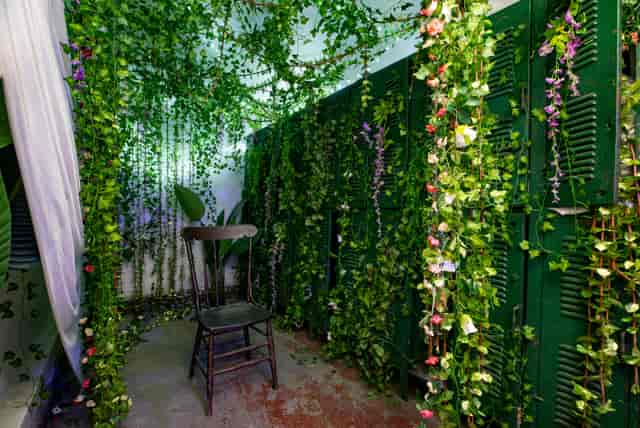 Secret garden photo installation at Gymnopedie, ideal for immersive event and social media activation.