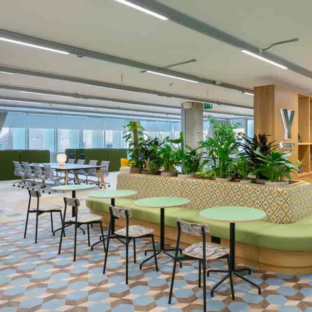 Studio Y meeting room with biophilic design for corporate workshops and team collaboration.