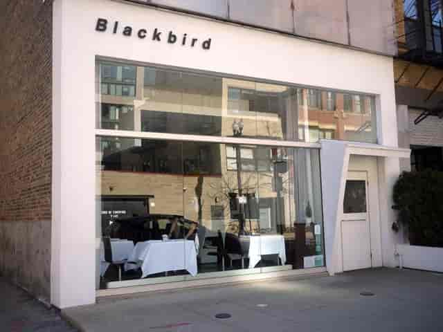 Modern BlackBird restaurant venue for intimate corporate dinners and high-end networking events.