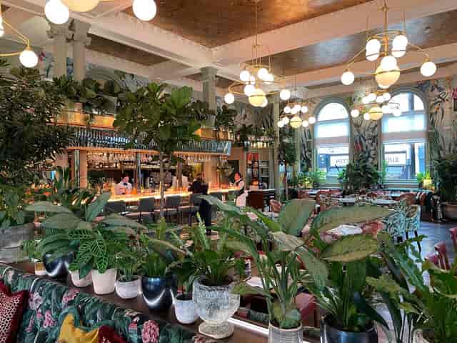 Intimate cocktail venue with lush greenery at Rendezvous Wine Bar. Perfect for gatherings.