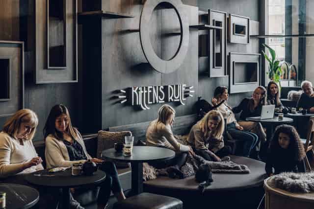 Meetings - Networking & Client Entertaining