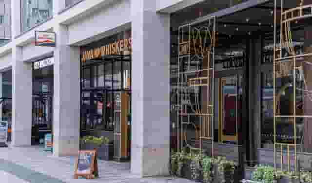 Java Whiskers Cat Café White City