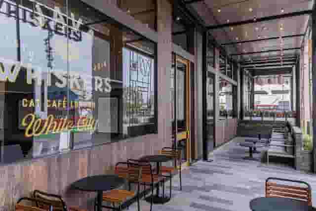 Java Whiskers Cat Café White City