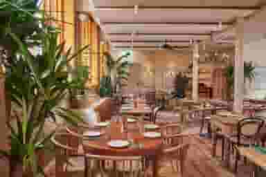 Fitzrovia