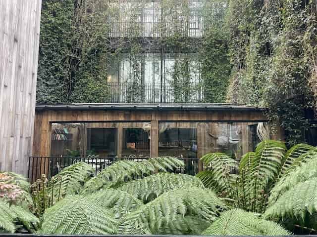 Jurema Terrace