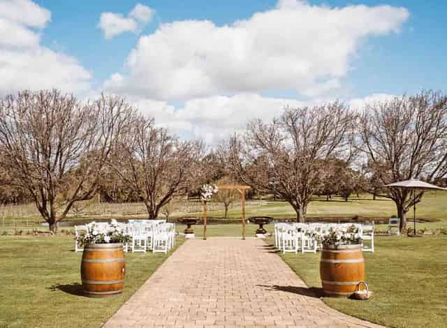 Chenin Lawn