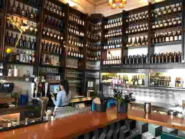 Terroni