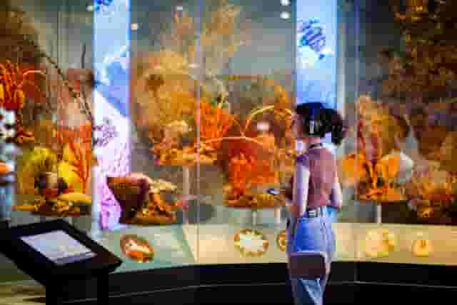 Level One - Special Exhibitions