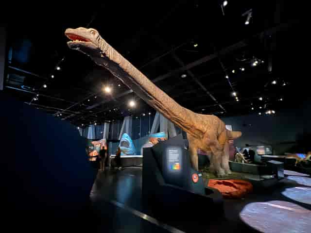 Level One - Special Exhibitions
