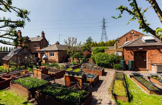Courtyard Garden