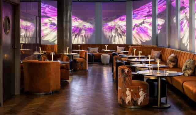 Byrd Lounge with projection mapping for luxury VIP receptions and networking events.