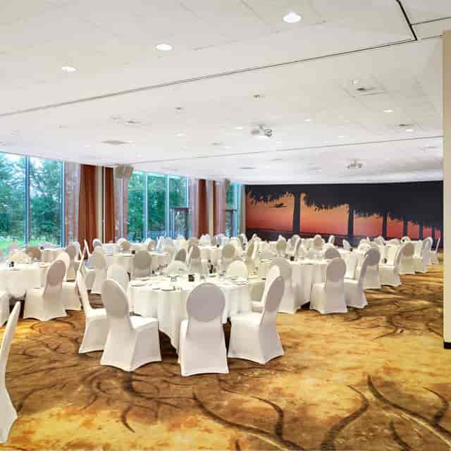 Park Plaza Amsterdam Airport Polder Suite banquet conference mural