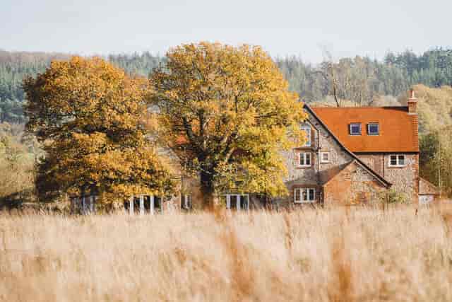 42 Acres - image 3