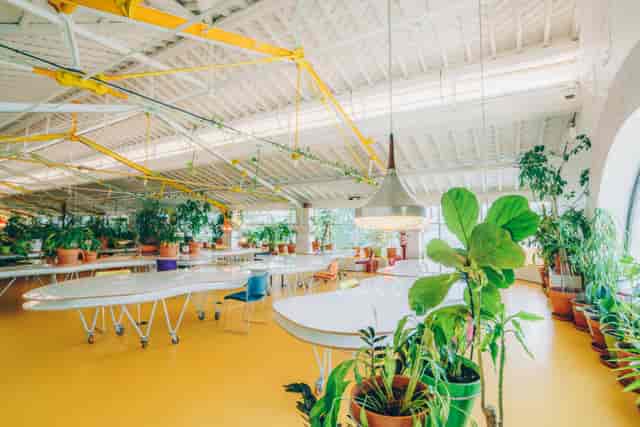 Second Home Mercado - image 3